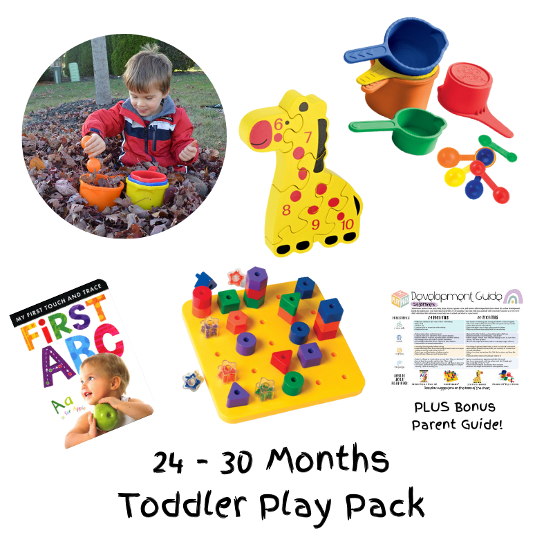 24-30 MONTHS TODDLER PLAY PACK - 2nd BIRTHDAY GIFT SET - Discovery Toys