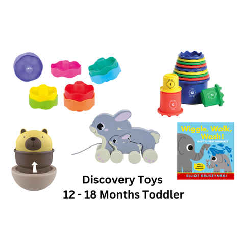 12-18 MONTHS TODDLER PLAY PACK - 1st BIRTHDAY GIFT SET - Discovery Toys