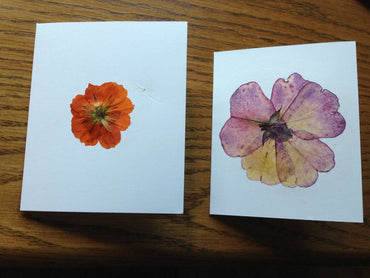 FLOWER PRESS Wooden Craft Tool - Discovery Toys