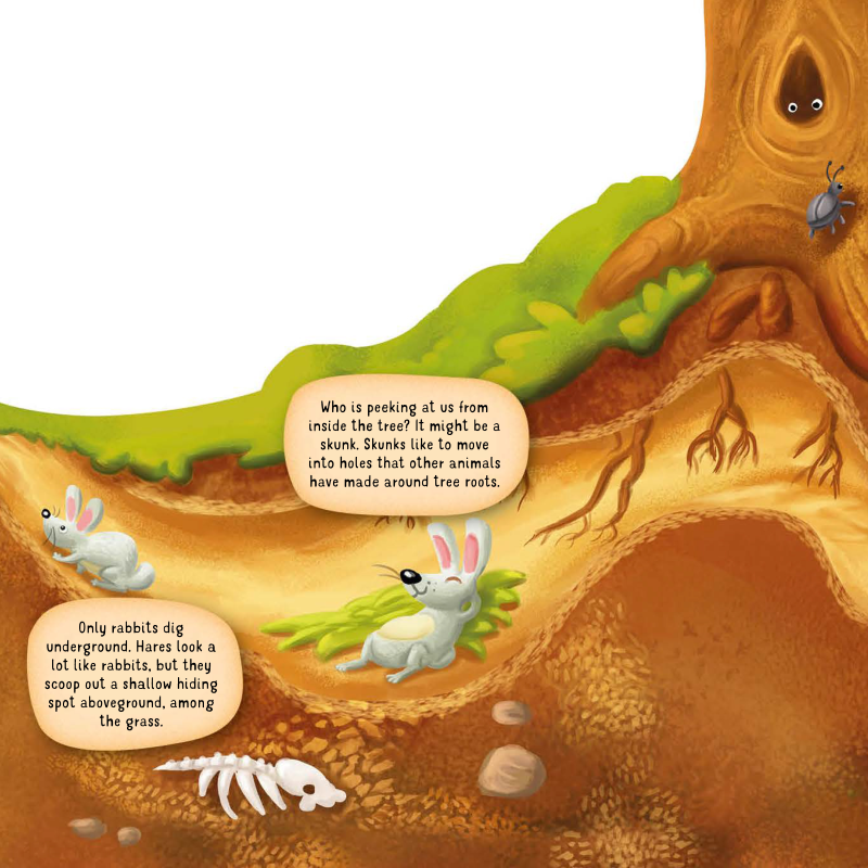 DISCOVERING THE SECRET WORLD OF NATURE – UNDERGROUND - Discovery Toys