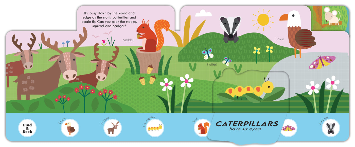 WOODLAND EXPLORERS FIND AND SEEK - Discovery Toys