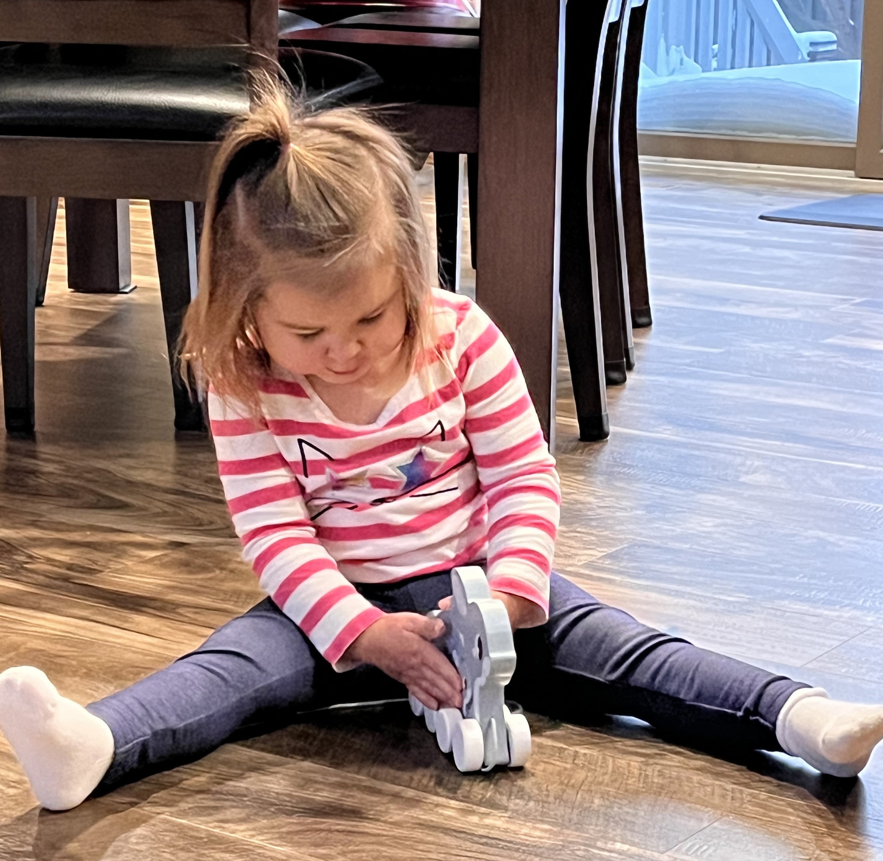 PULL ALONG RABBIT & BUNNY Wood Pull Toy | Discovery Toys