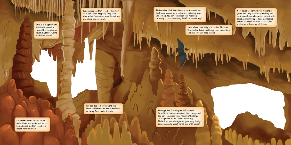 DISCOVERING THE HIDDEN WORLD INSIDE A CAVE