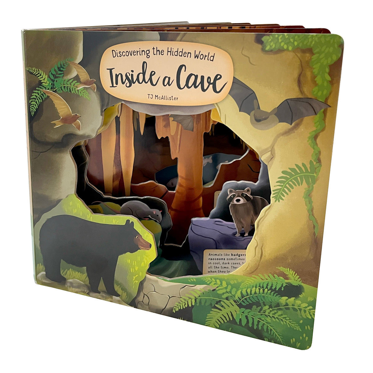 DISCOVERING THE HIDDEN WORLD INSIDE A CAVE