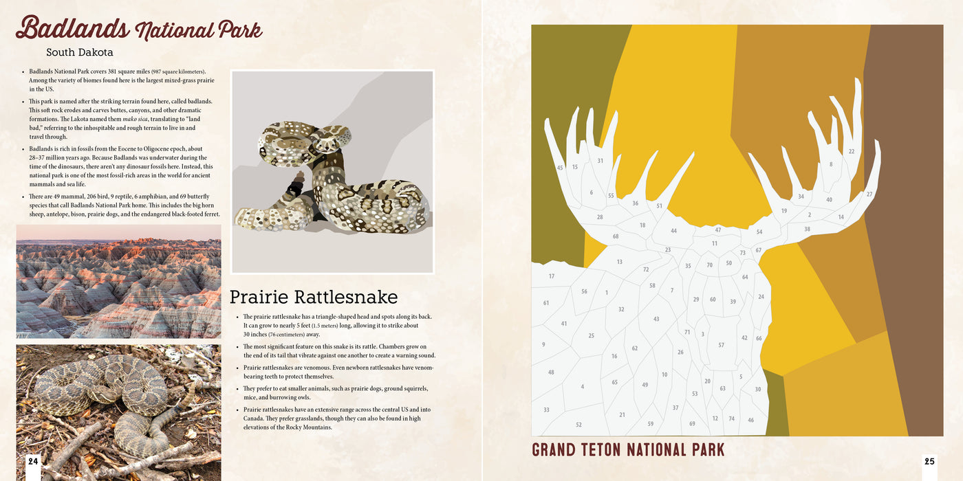 NATIONAL PARKS OF NORTH AMERICA AMAZING ANIMALS Sticker Painting Book