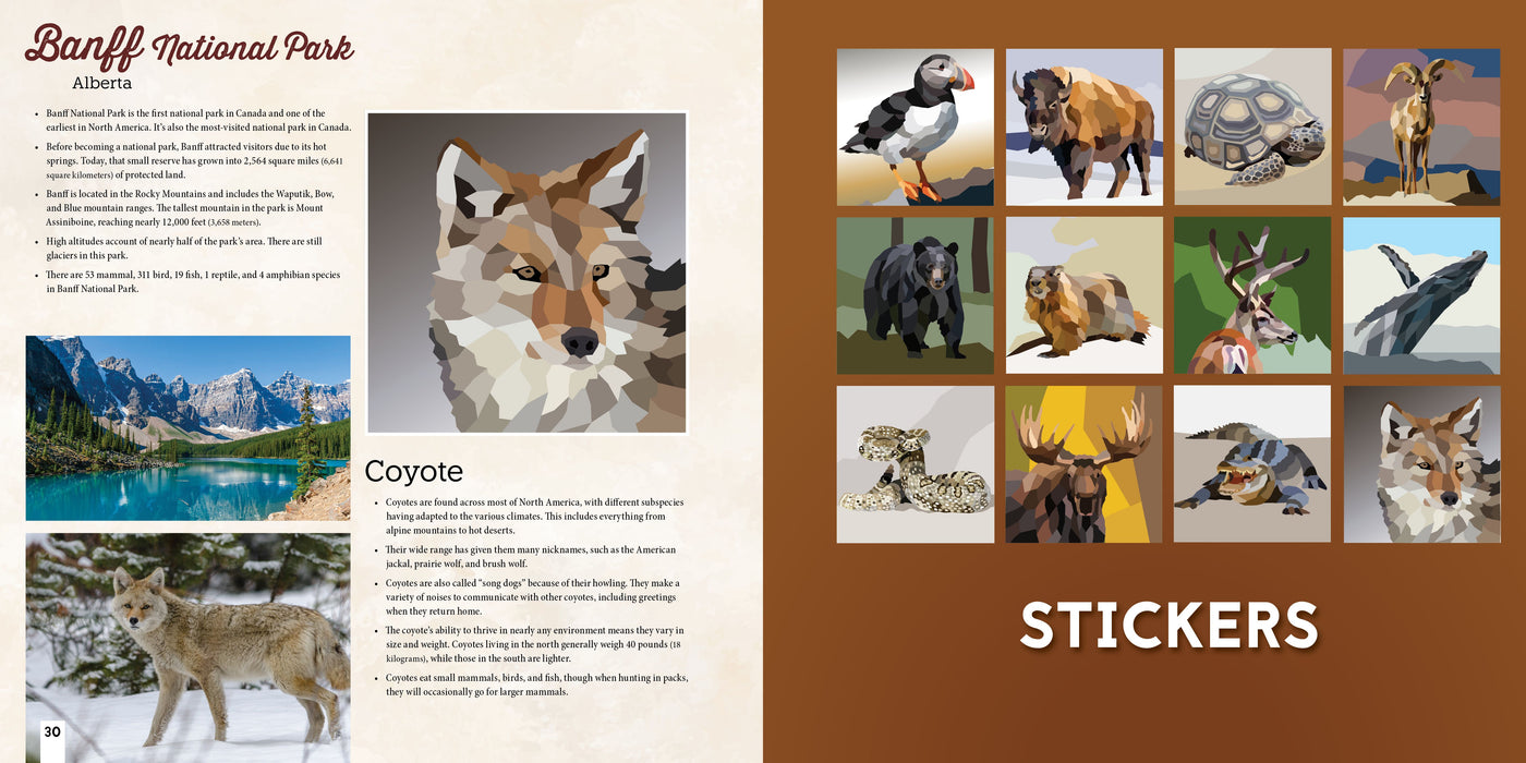 NATIONAL PARKS OF NORTH AMERICA AMAZING ANIMALS Sticker Painting Book - Discovery Toys