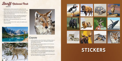 NATIONAL PARKS OF NORTH AMERICA AMAZING ANIMALS Sticker Painting Book - Discovery Toys