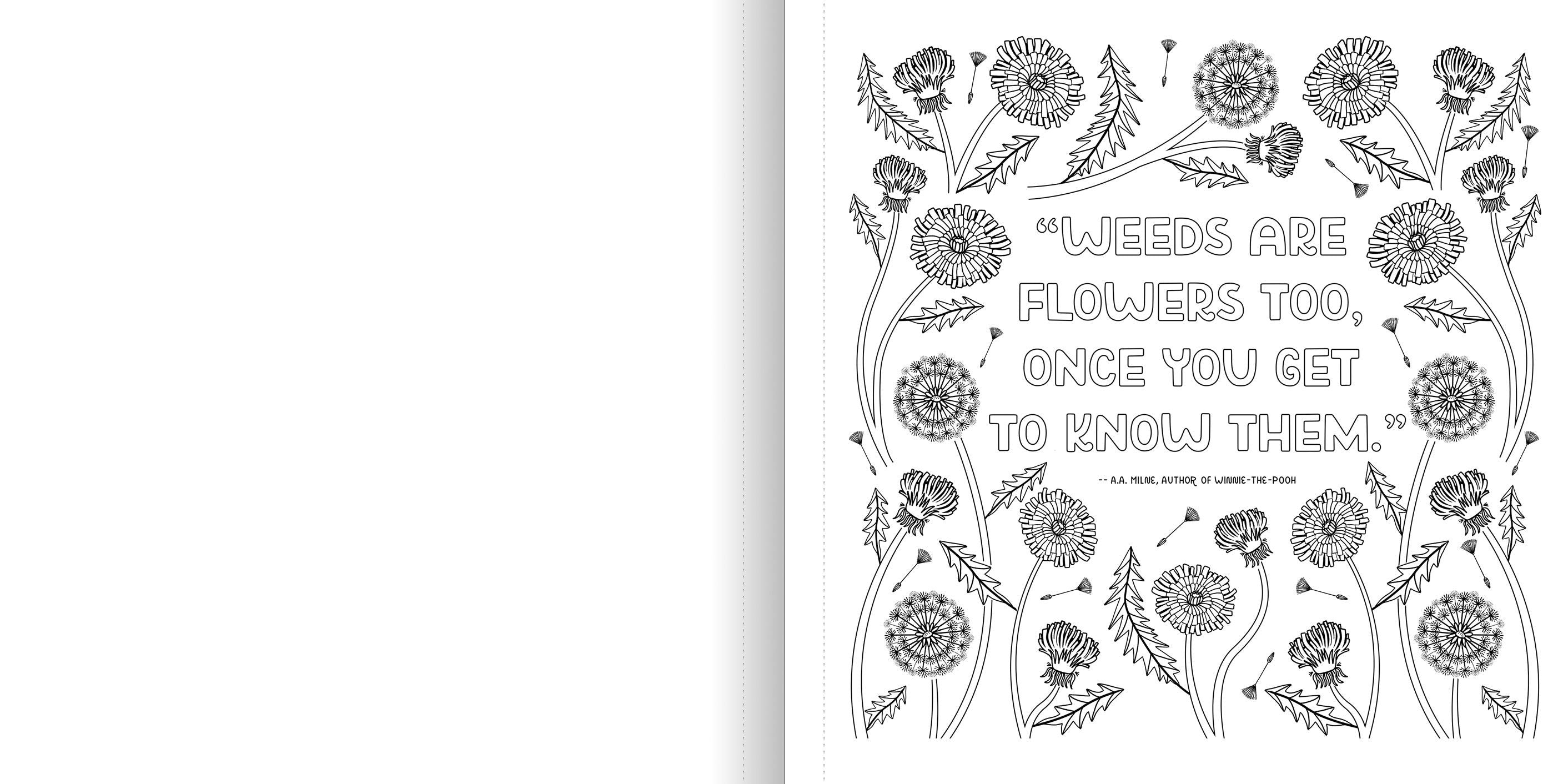 WHAT’S INSIDE A GARDEN: Science and Nature Coloring Book - Discovery Toys