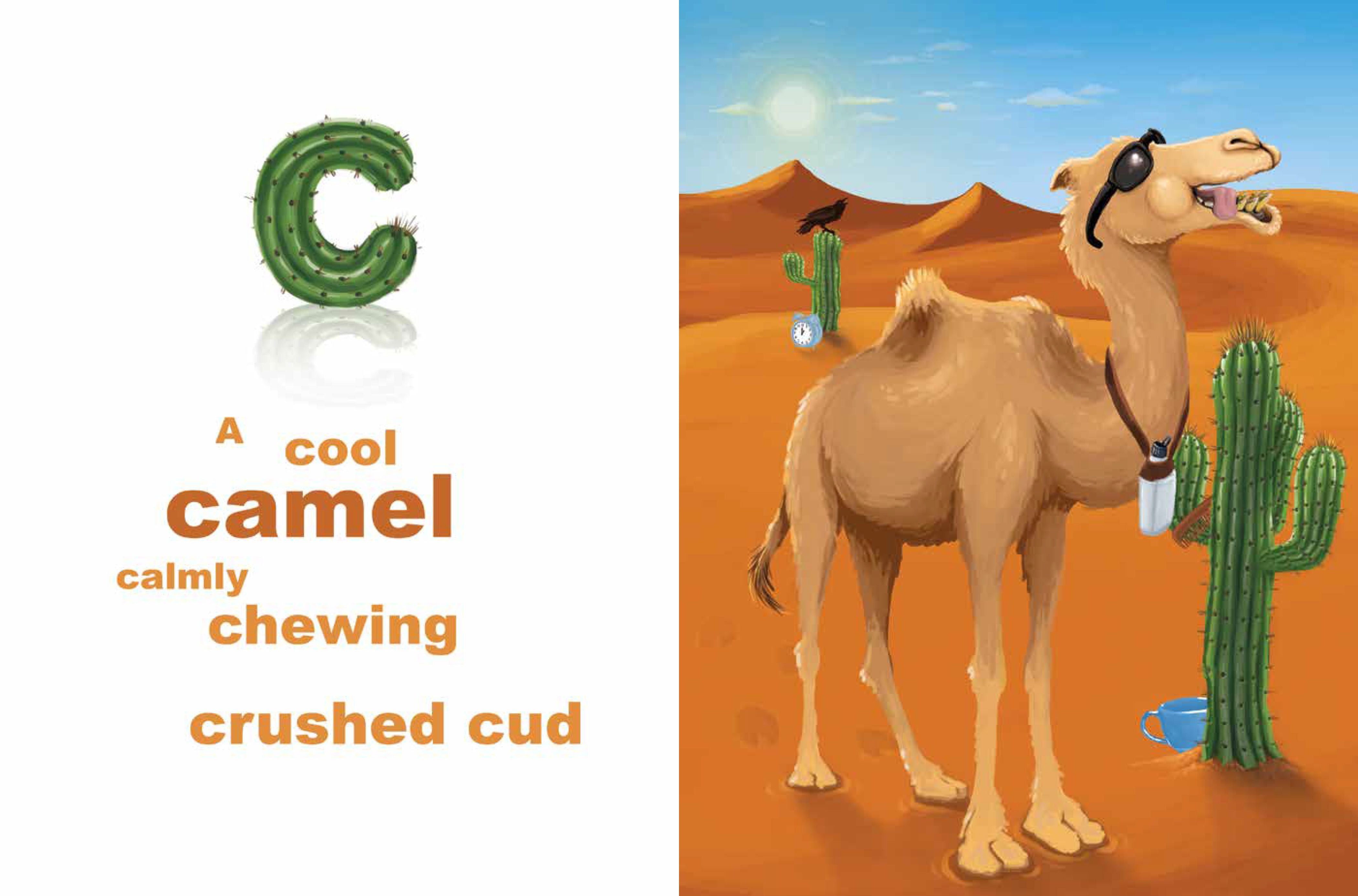 A-Z ANIMAL ADVENTURE SERIES - Discovery Toys