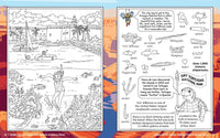 HIDDEN PICTURE PUZZLES: NATIONAL PARKS & FAMOUS PLACES - Discovery Toys