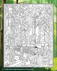 HIDDEN PICTURE PUZZLES: NATIONAL PARKS & FAMOUS PLACES - Discovery Toys