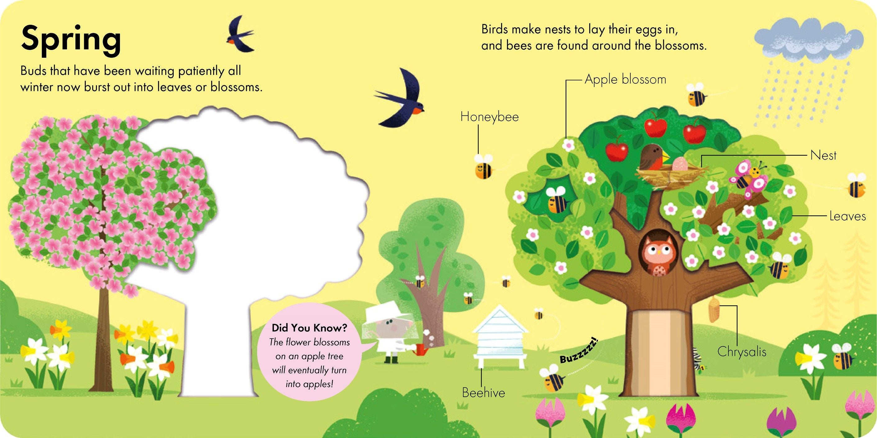 HOW IT WORKS: TREE - Discovery Toys