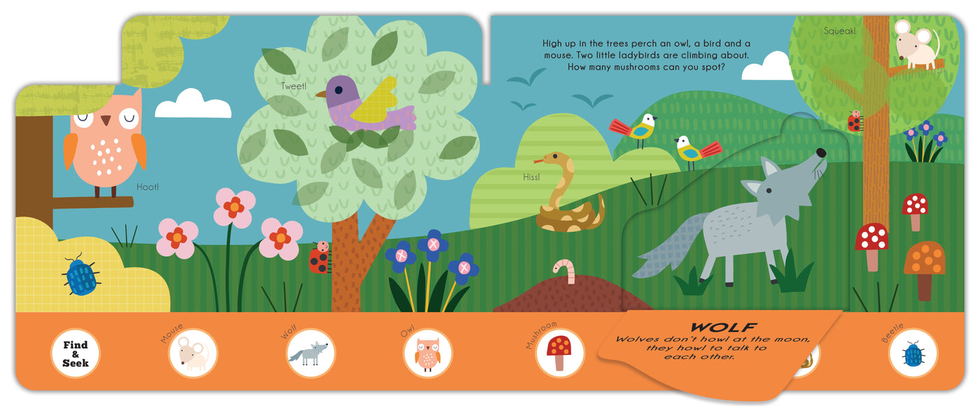 WOODLAND EXPLORERS FIND AND SEEK - Discovery Toys