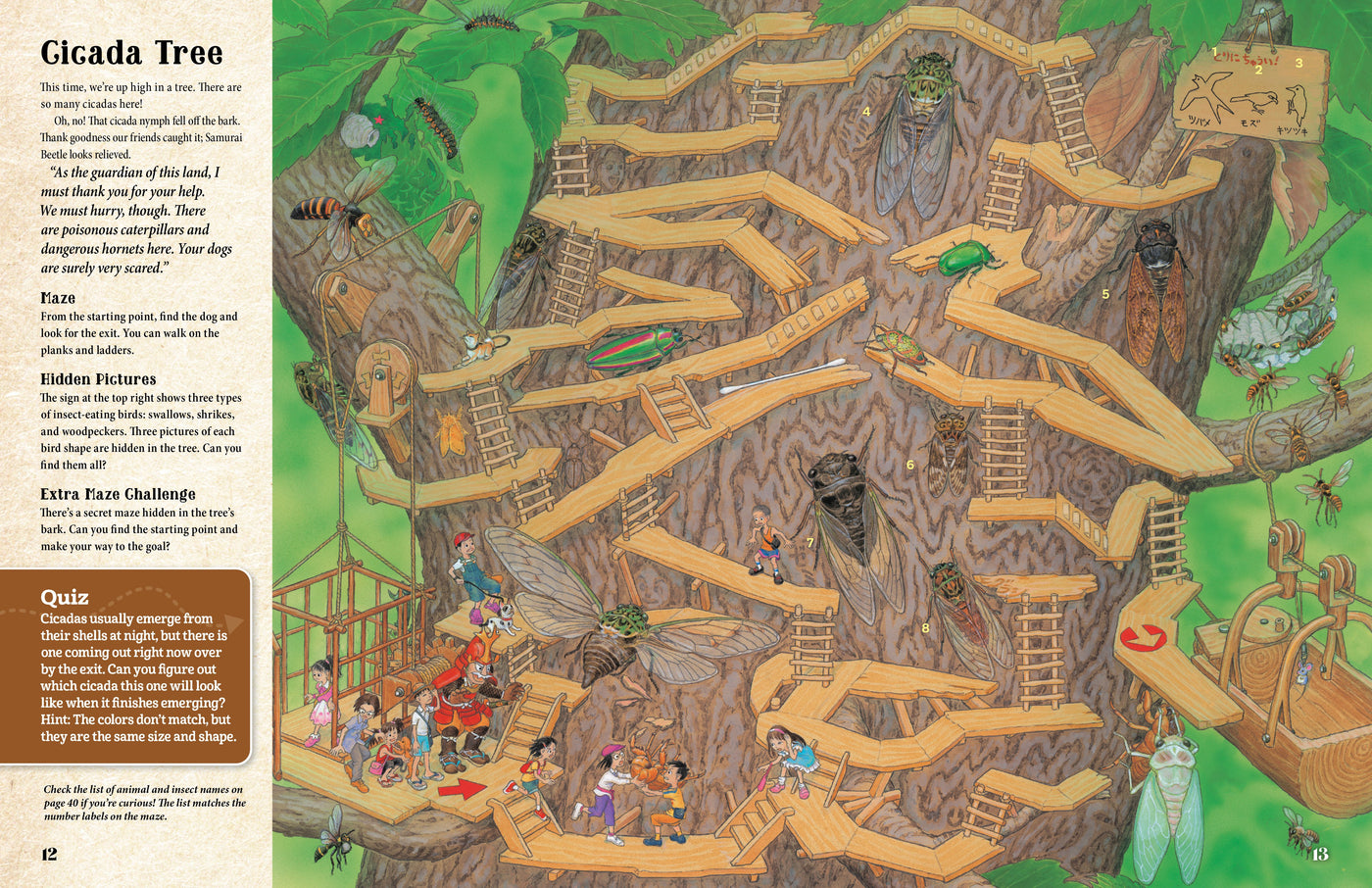 GENTARO KAGAWA'S CURIOUS QUEST: The Hidden World of Insects - Discovery Toys