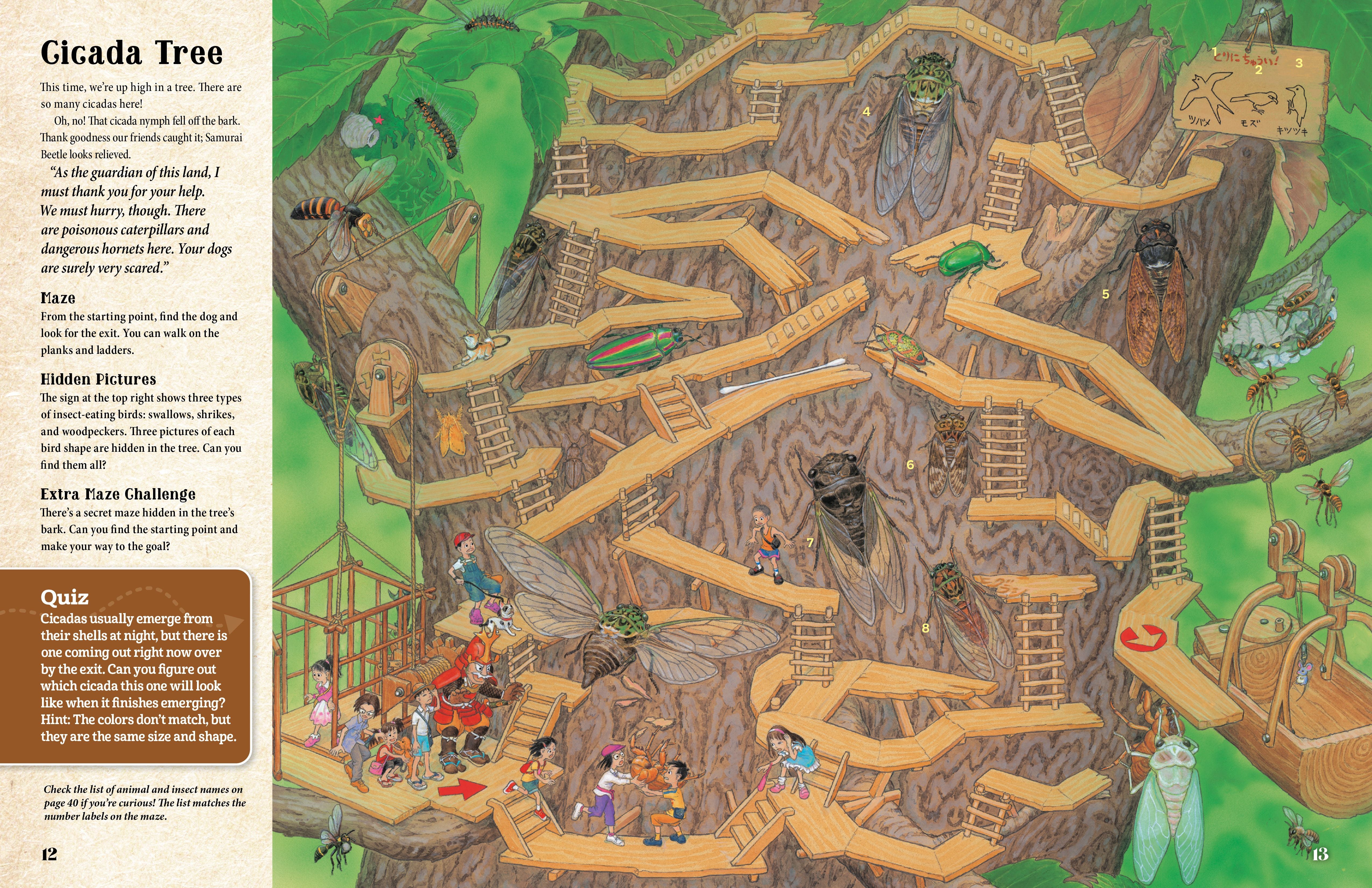 GENTARO KAGAWA'S CURIOUS QUEST: The Hidden World of Insects - Discovery Toys