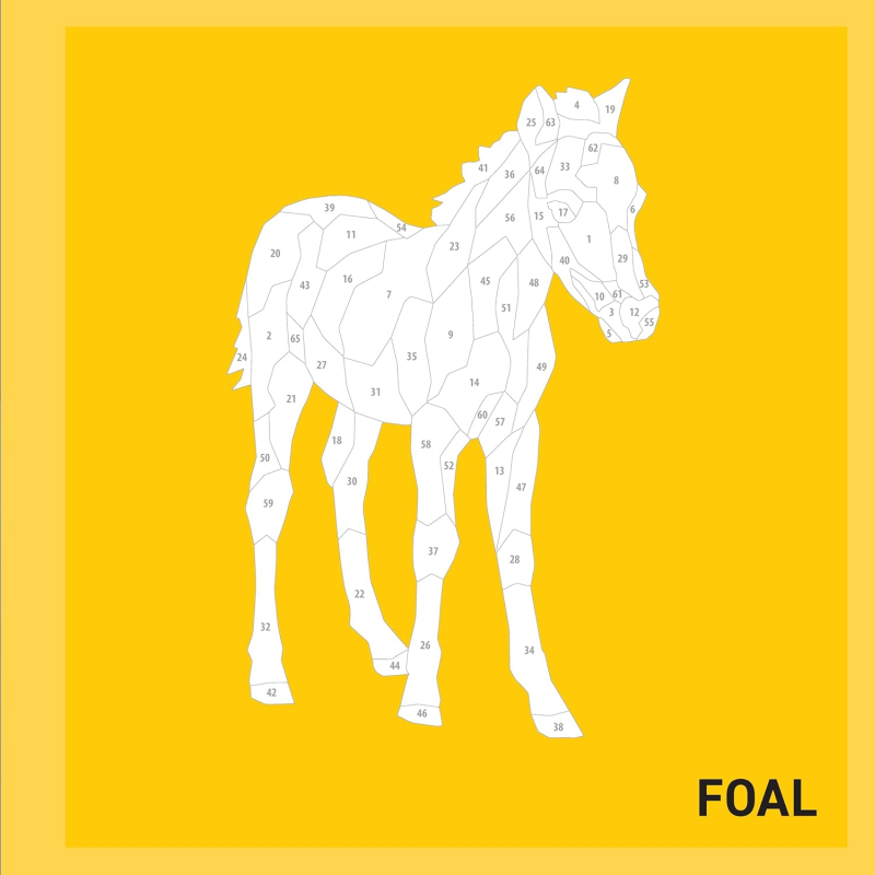 MY STICKER PAINTINGS: BABY ANIMALS - Discovery Toys