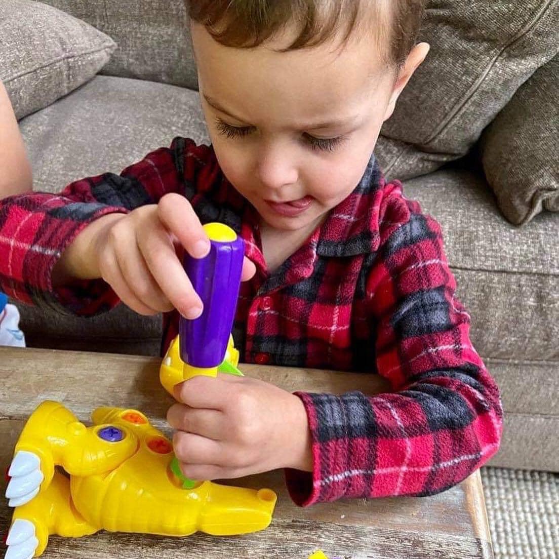 DINO WORKS T-REX DIY Take Apart Toy