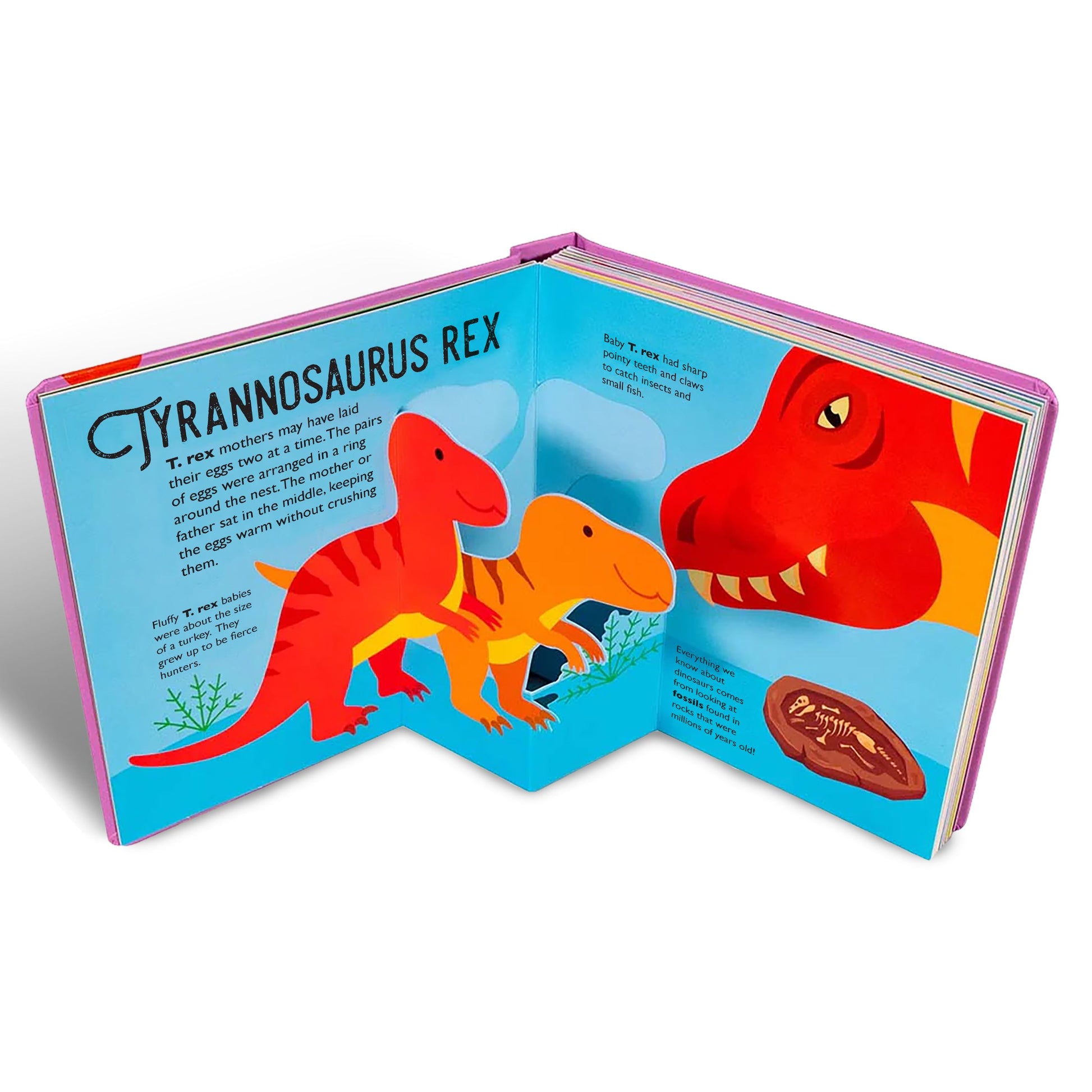 BABY DINOSAURS - Discovery Toys