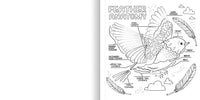 WHAT’S INSIDE A GARDEN: Science and Nature Coloring Book - Discovery Toys
