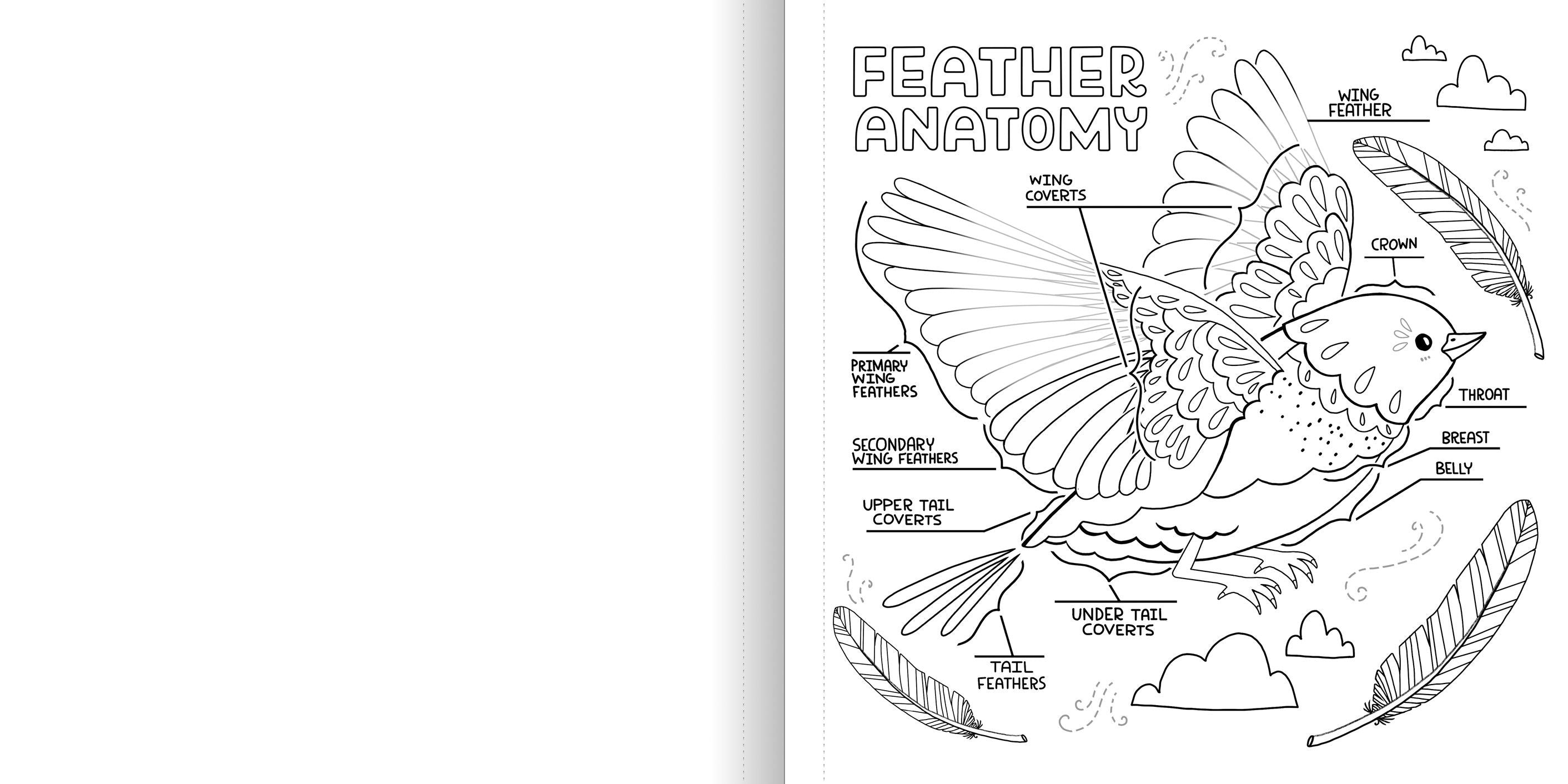 WHAT’S INSIDE A GARDEN: Science and Nature Coloring Book - Discovery Toys