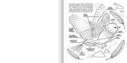 WHAT’S INSIDE A GARDEN: Science and Nature Coloring Book - Discovery Toys