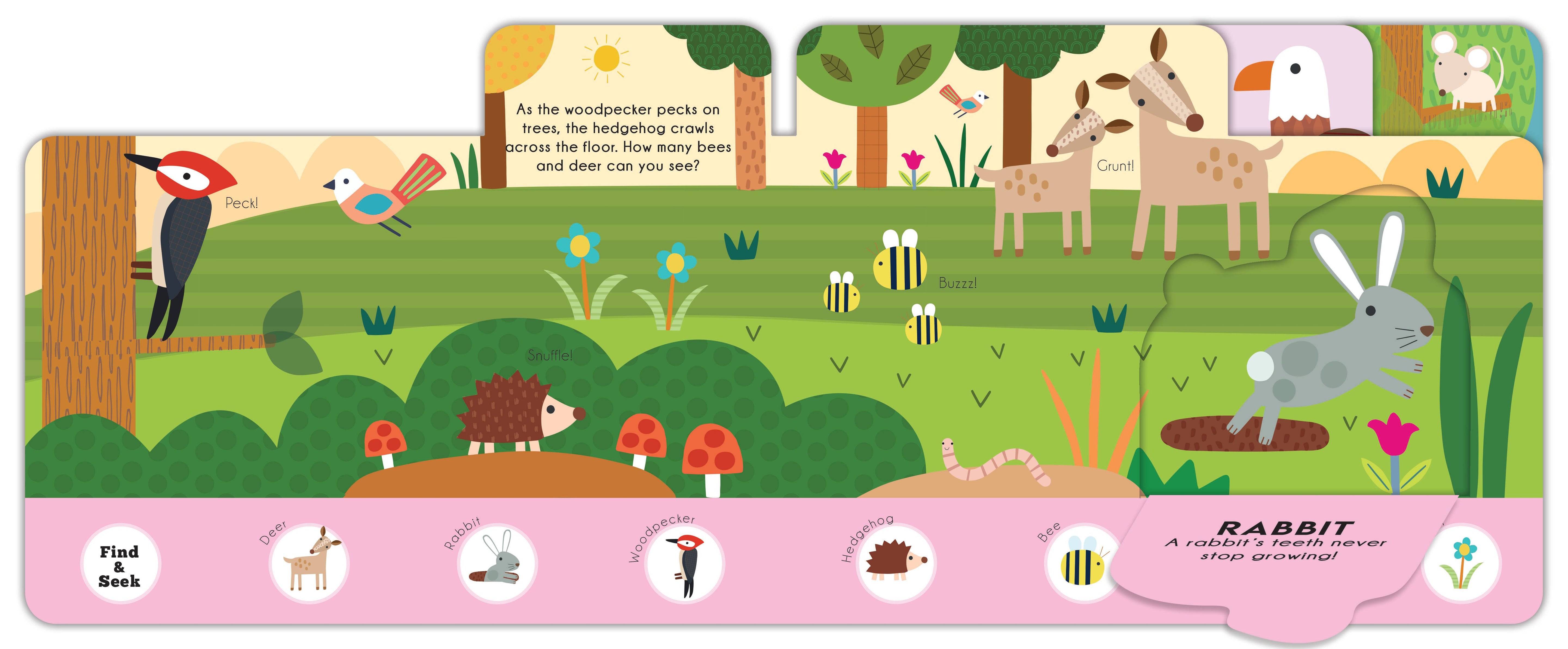 WOODLAND EXPLORERS FIND AND SEEK - Discovery Toys