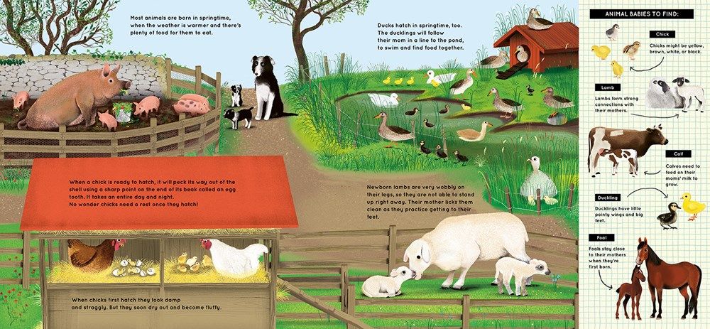LOOK WHAT I FOUND ON THE FARM - Discovery Toys