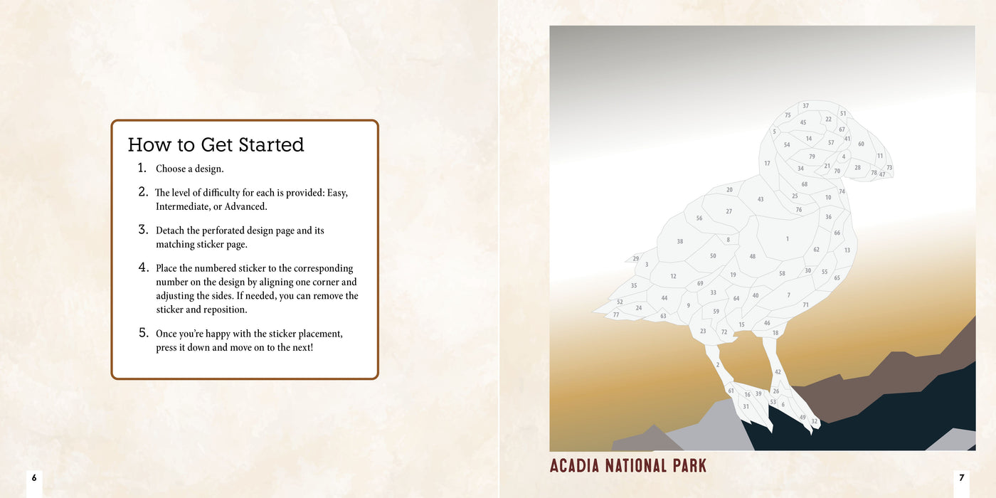 NATIONAL PARKS OF NORTH AMERICA AMAZING ANIMALS Sticker Painting Book - Discovery Toys