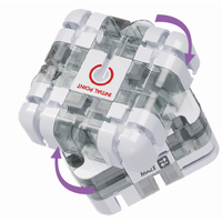 ROTATING MAZE CUBE - Discovery Toys