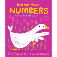 NAME YOUR NUMBERS - Discovery Toys