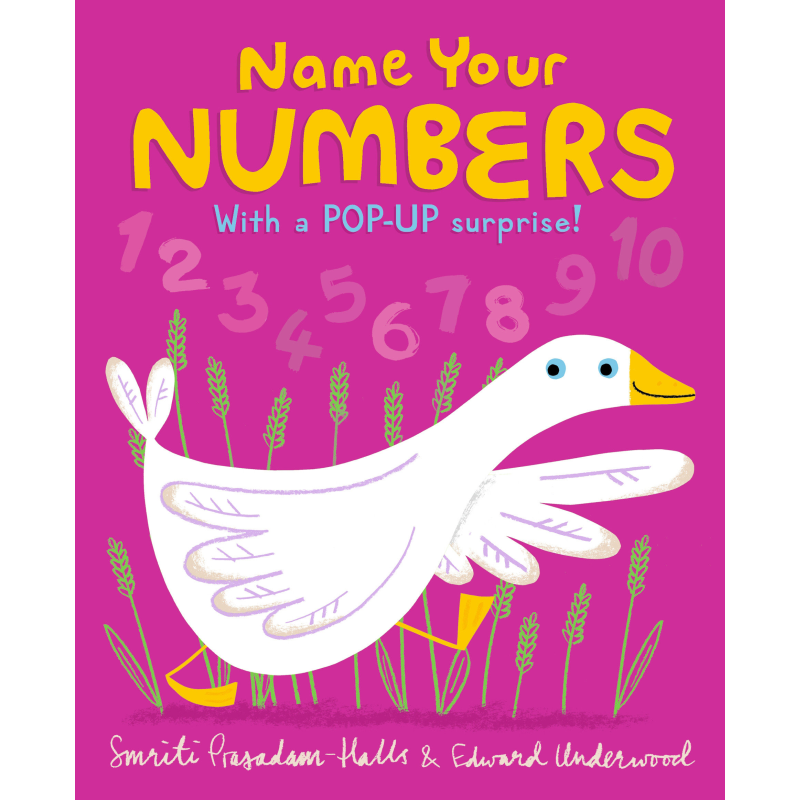 NAME YOUR NUMBERS - Discovery Toys