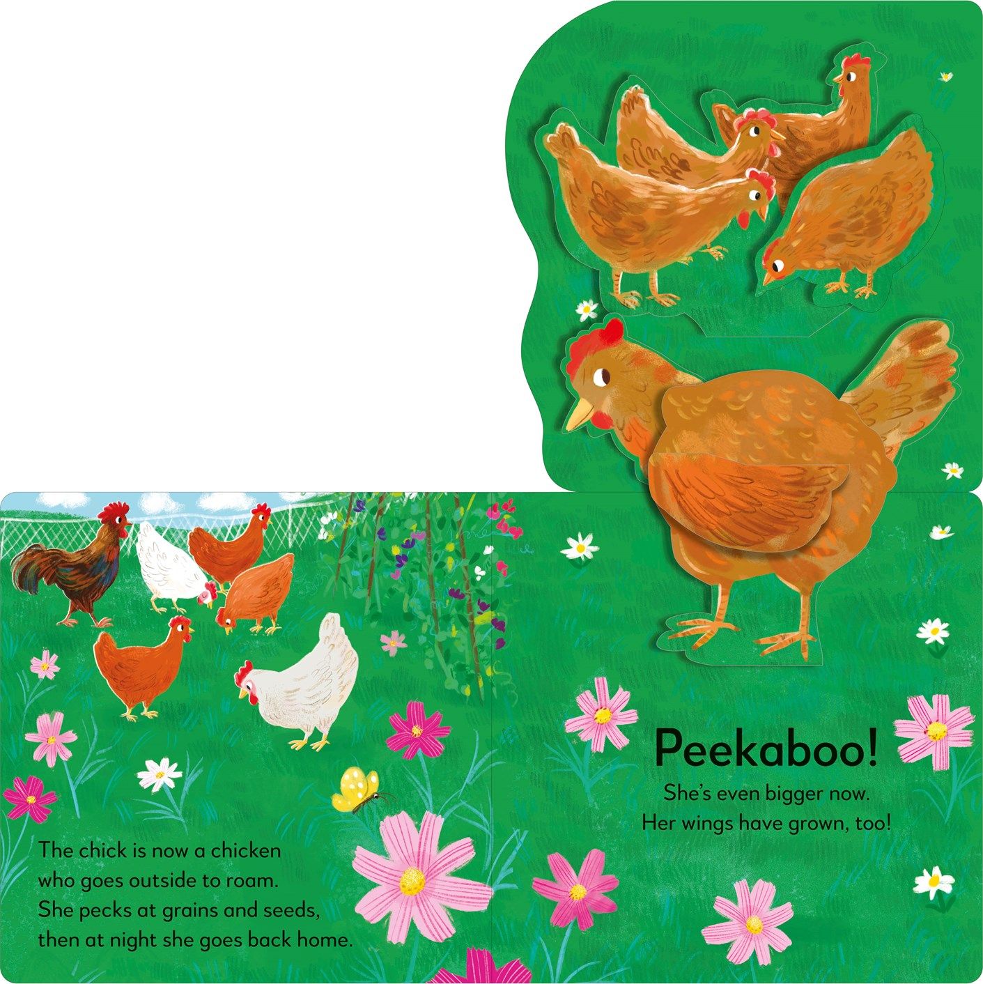 POP-UP PEEKABOO! CHICK Board Book – Discovery Toys