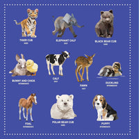 MY STICKER PAINTINGS: BABY ANIMALS - Discovery Toys