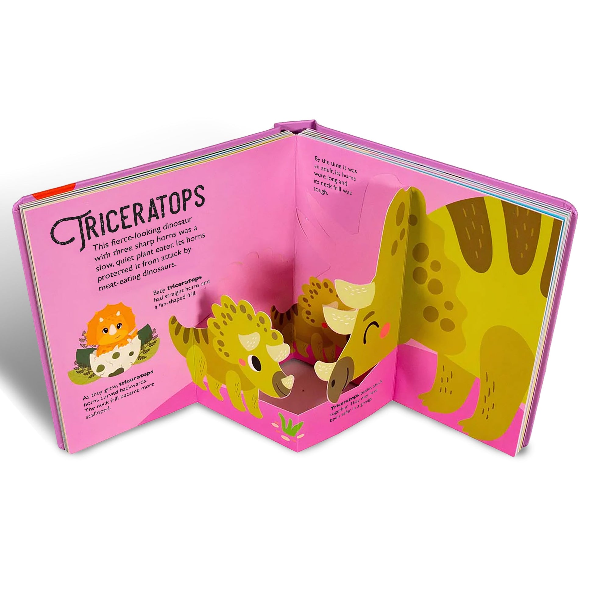 BABY DINOSAURS - Discovery Toys