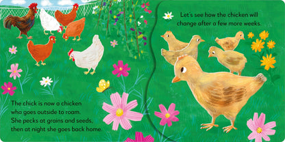 POP-UP PEEKABOO! CHICK - Discovery Toys