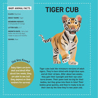 MY STICKER PAINTINGS: BABY ANIMALS - Discovery Toys
