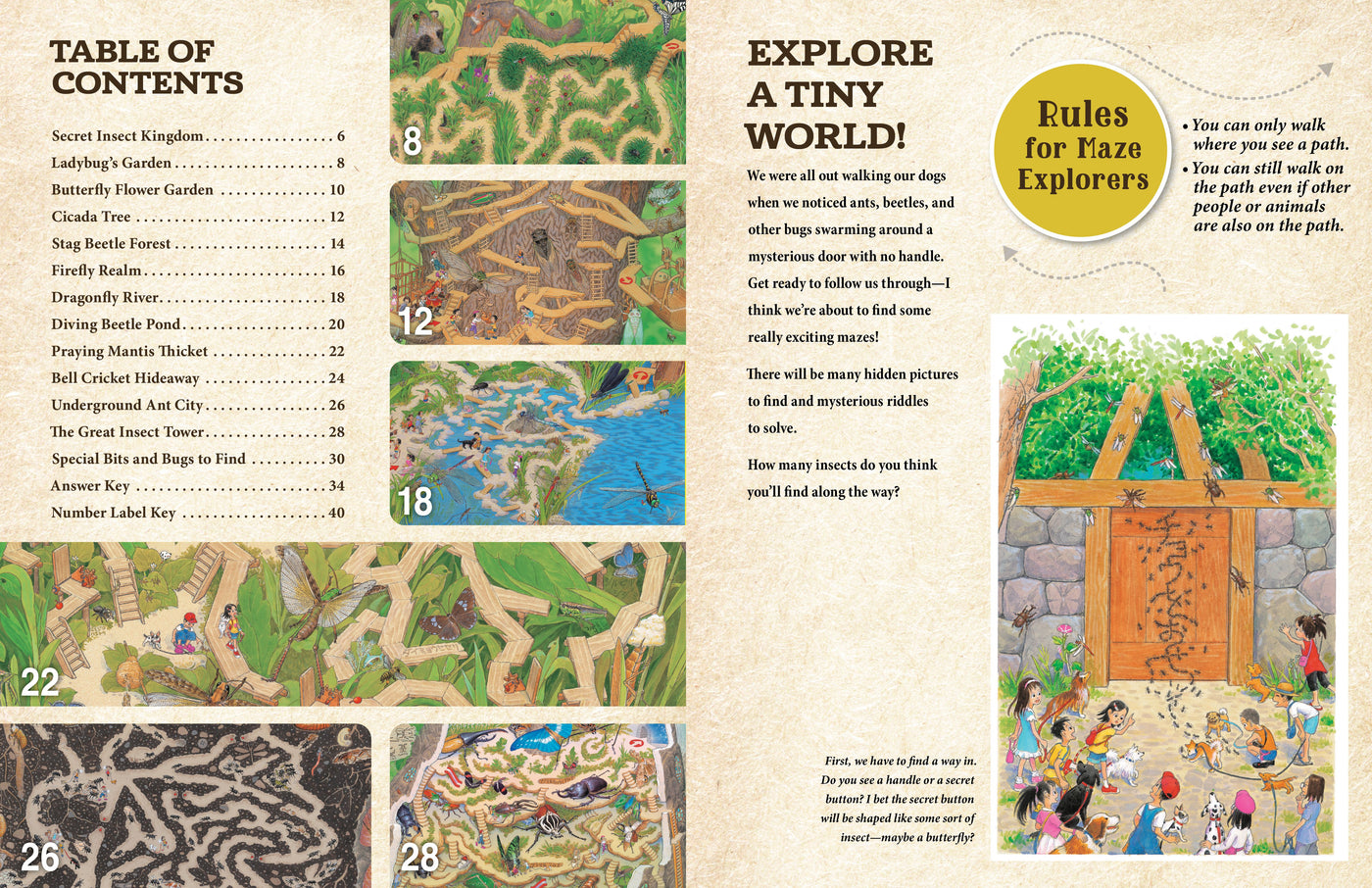 GENTARO KAGAWA'S CURIOUS QUEST: The Hidden World of Insects - Discovery Toys