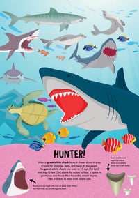 NATURE POP-UP! SHARKS - Discovery Toys