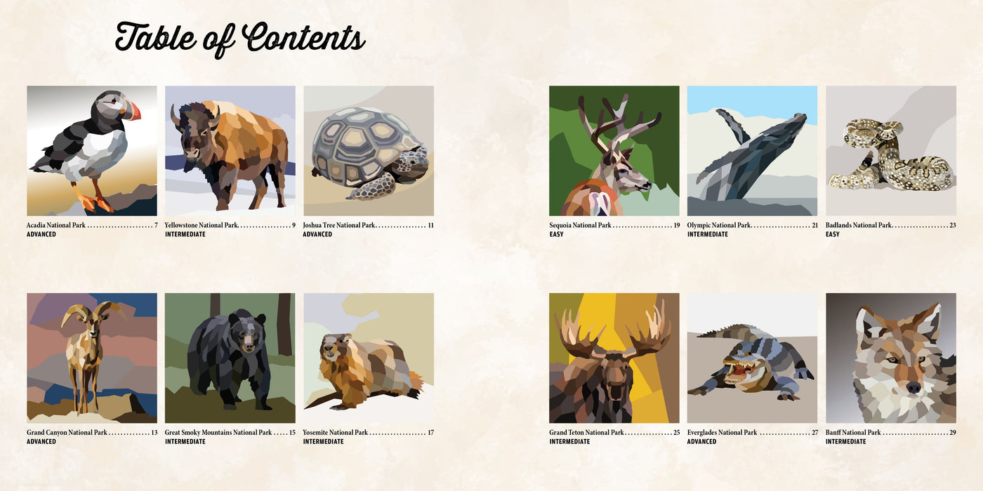 NATIONAL PARKS OF NORTH AMERICA AMAZING ANIMALS Sticker Painting Book - Discovery Toys