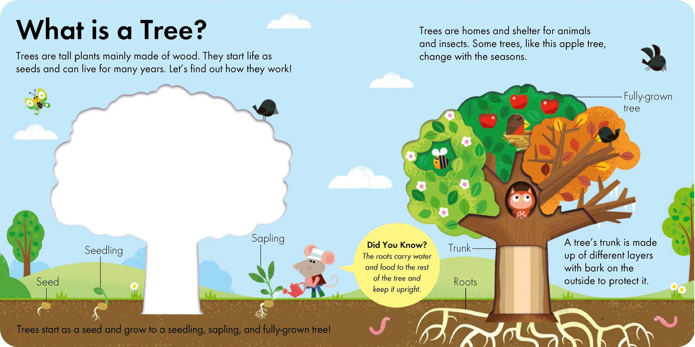 HOW IT WORKS: TREE - Discovery Toys