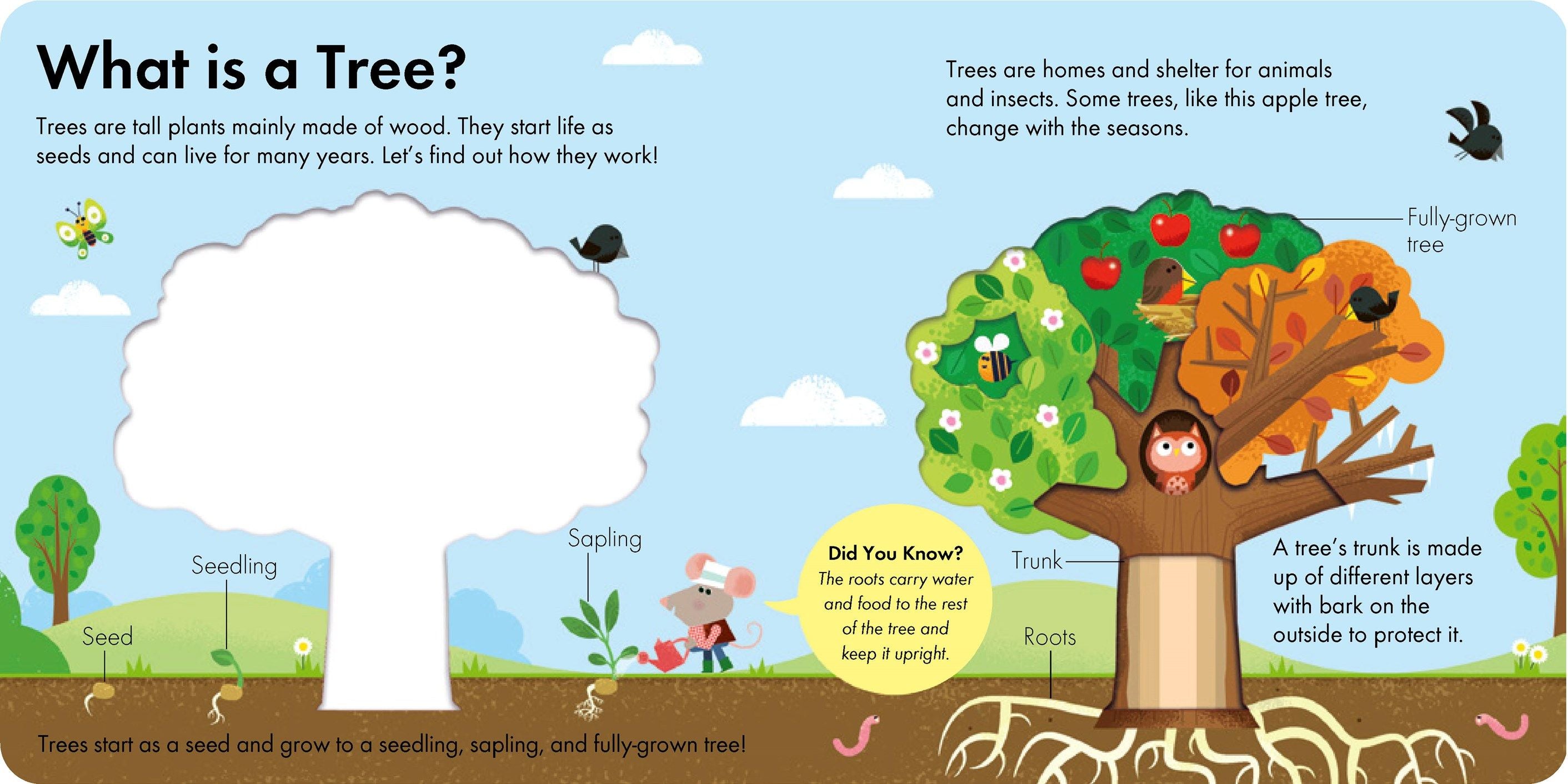 HOW IT WORKS: TREE - Discovery Toys