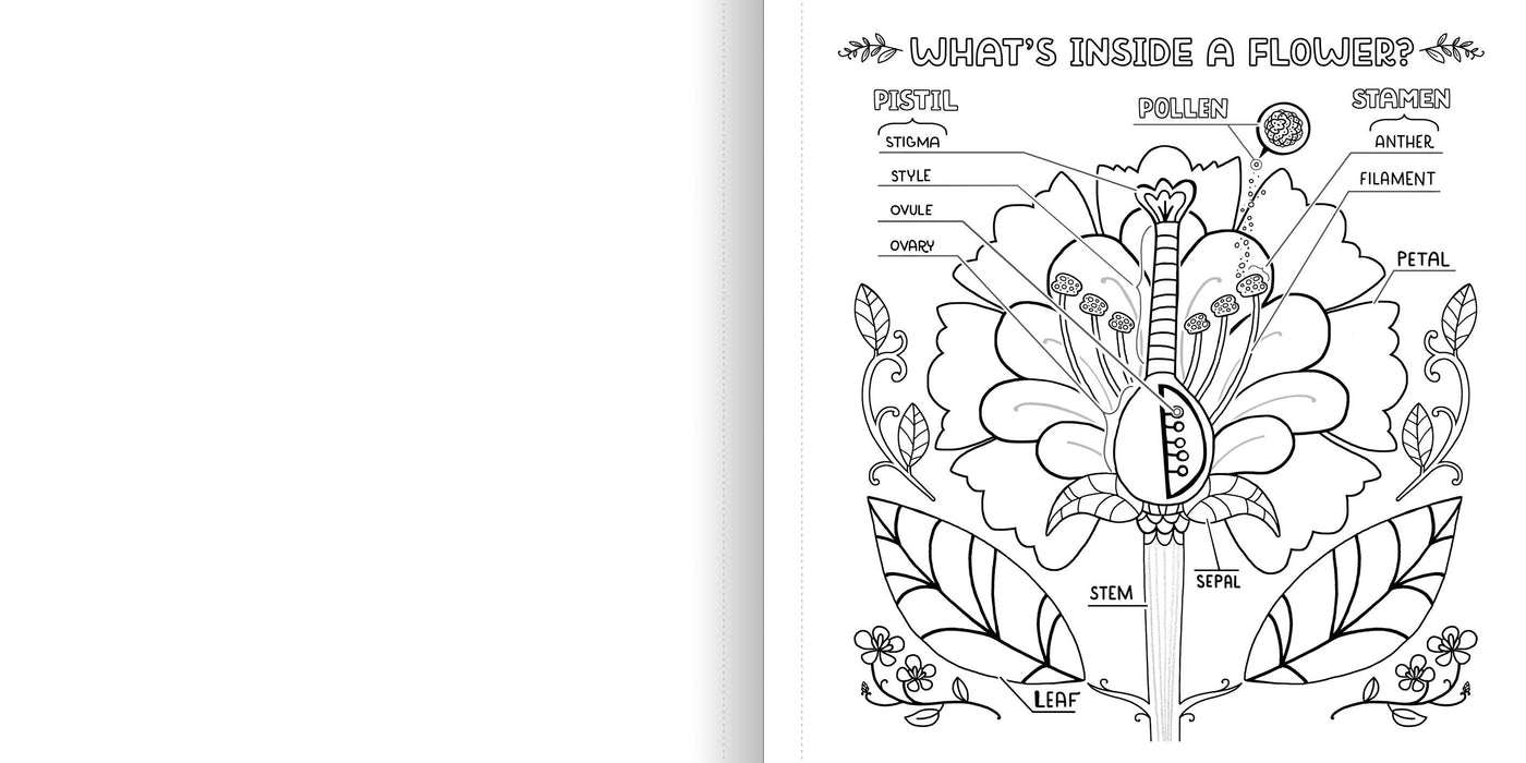 WHAT’S INSIDE A GARDEN: Science and Nature Coloring Book - Discovery Toys
