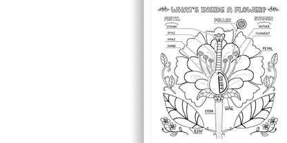 WHAT’S INSIDE A GARDEN: Science and Nature Coloring Book - Discovery Toys