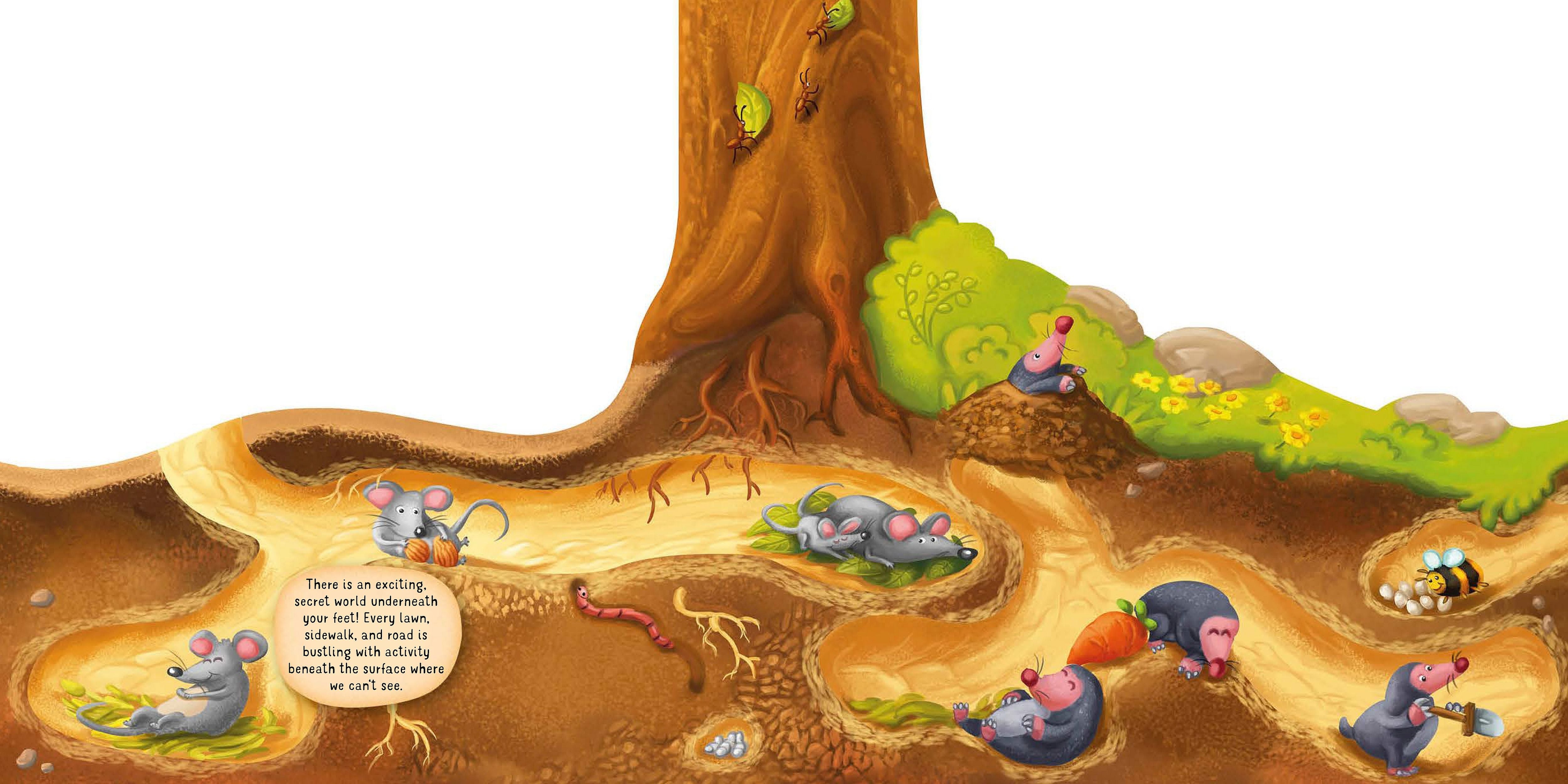 DISCOVERING THE SECRET WORLD OF NATURE – UNDERGROUND - Discovery Toys