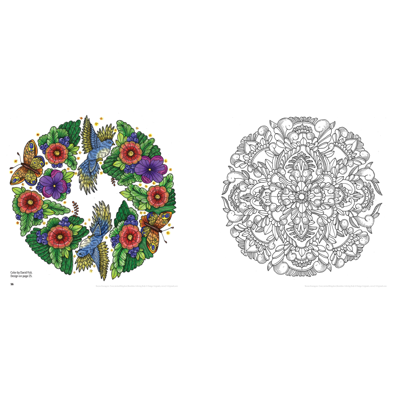 ANIMAL KINGDOM MANDALAS Coloring Book for All Ages Discovery Toys