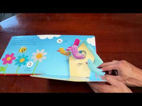 POP-UP PEEKABOO! NUMBERS