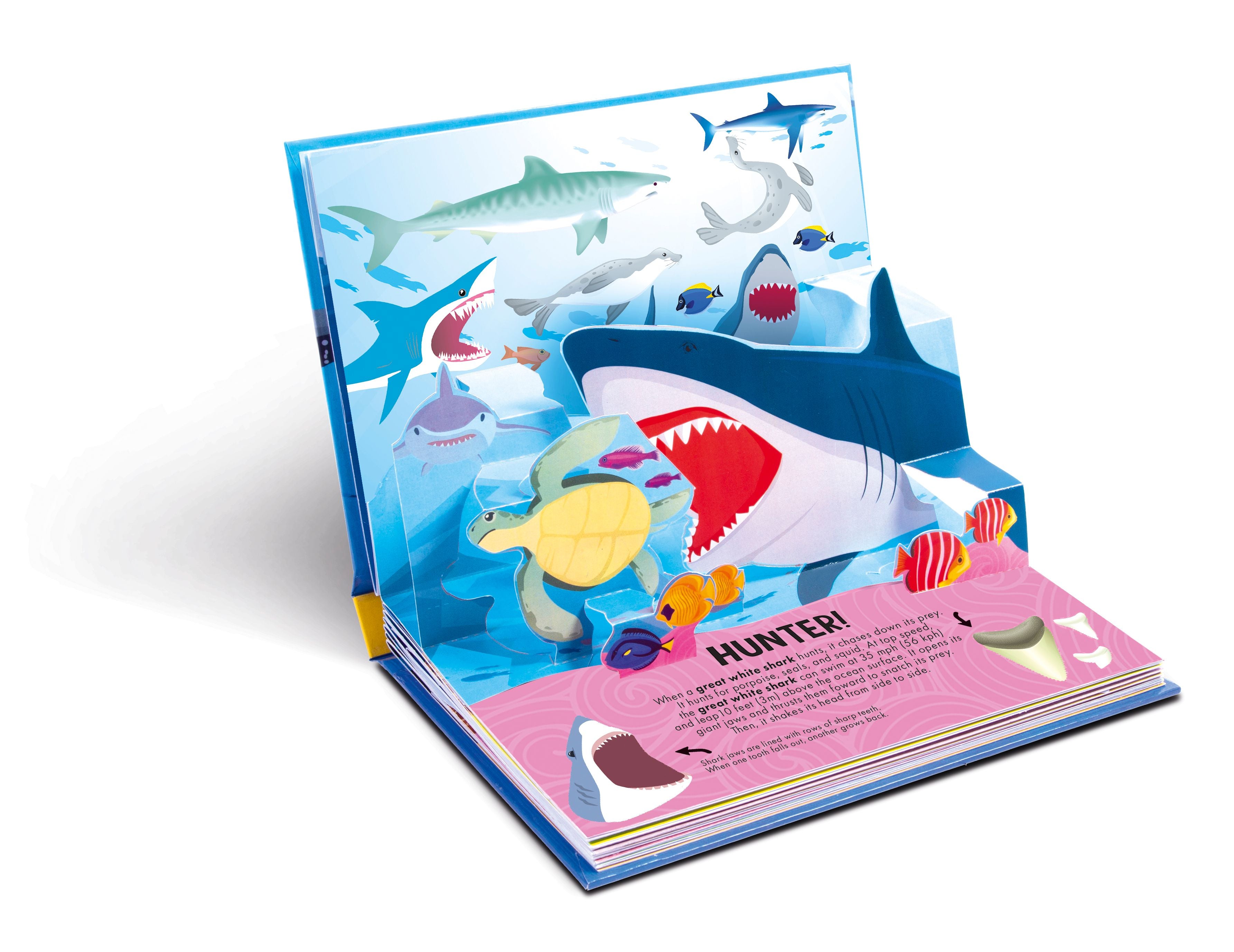 NATURE POP-UP! SHARKS - Discovery Toys