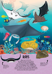 NATURE POP-UP! SHARKS - Discovery Toys