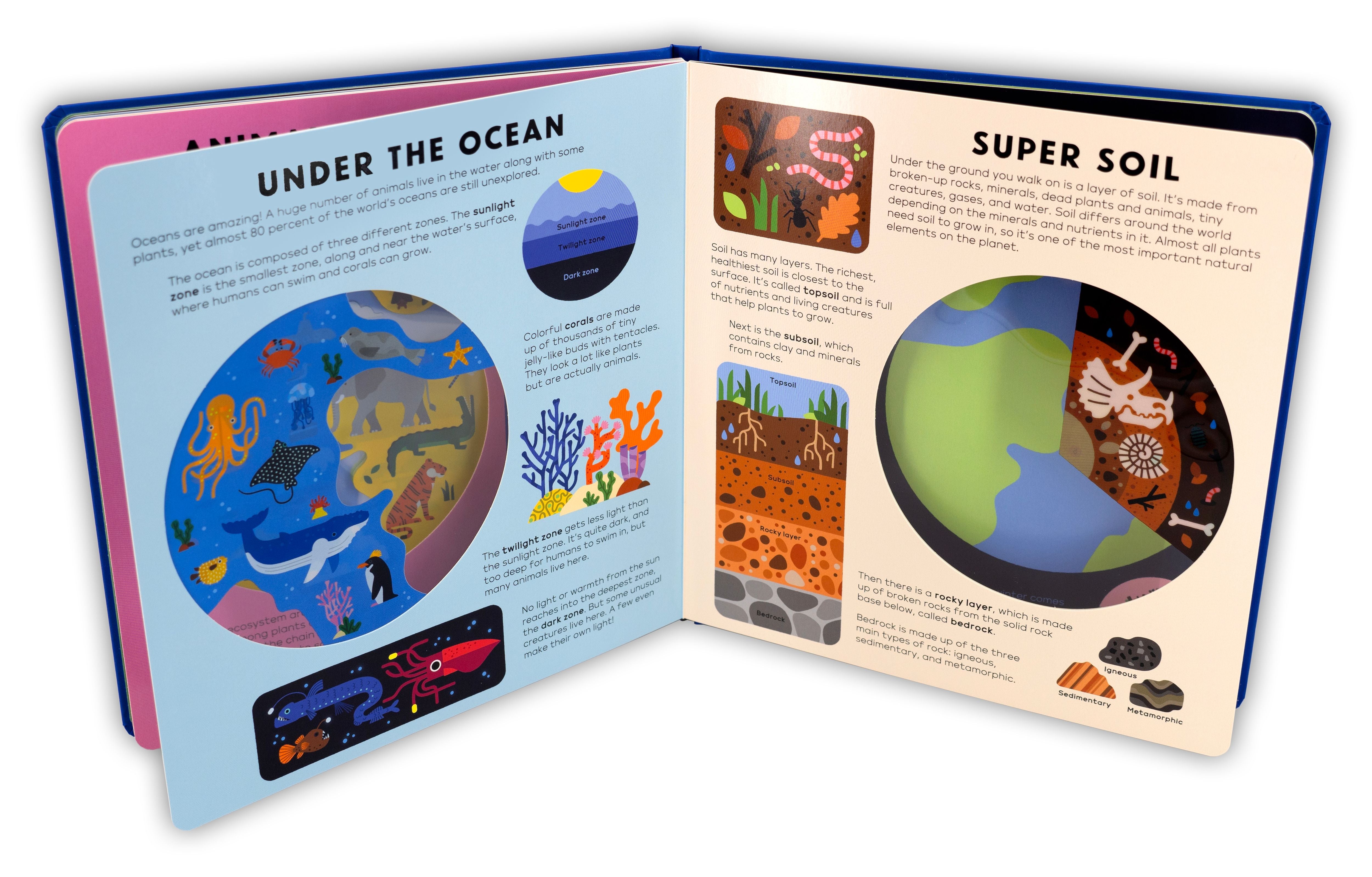 THE EARTH BOOK - Discovery Toys