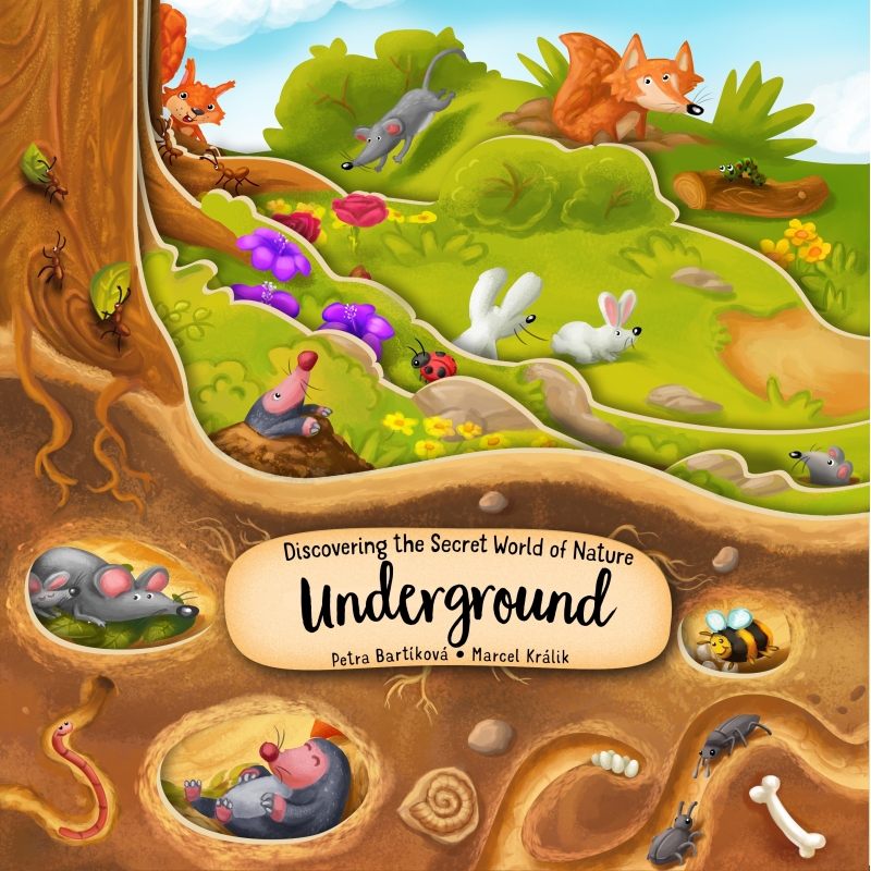DISCOVERING THE SECRET WORLD OF NATURE – UNDERGROUND - Discovery Toys